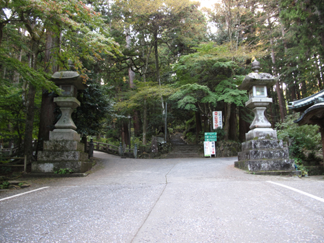 20181102hike (340)